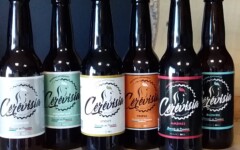 Box Partage Bière 12x33cl ou 6x75cl