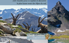 Route du COL DE LA BONETTE en poche