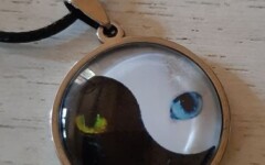COLLECTION ACIER INOXYDABLE - COLLIERS CABOCHON - YIN YANG CAT EYES