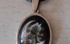 COLLECTION ACIER INOXYDABLE - COLLIERS CABOCHON - CHAT DOUCE NUIT