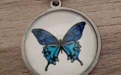 COLLIERS CABOCHON - PAPILLON BLUE BEAUTY